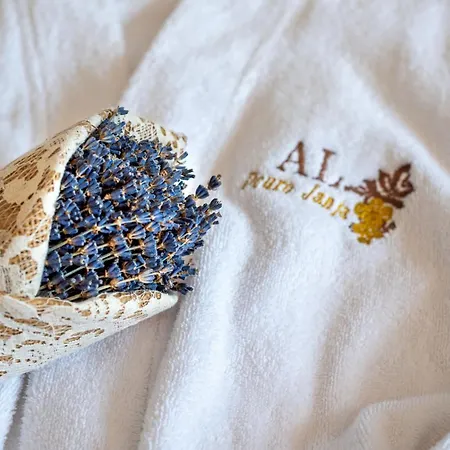 Feel Discovery Douro Janja