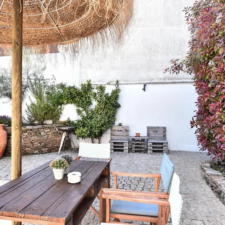 Feel Discovery Douro Janja Armamar