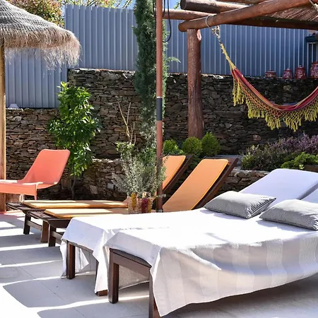 Feel Discovery Douro Janja Villa