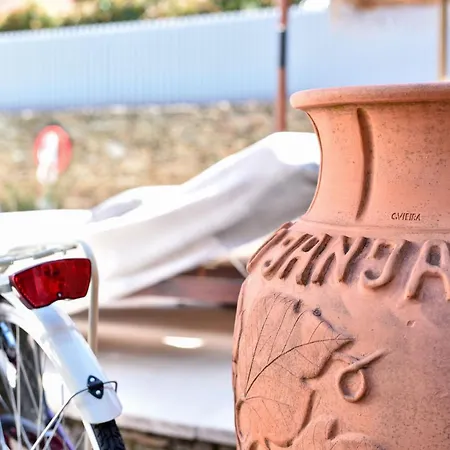 Feel Discovery Douro Janja Villa *