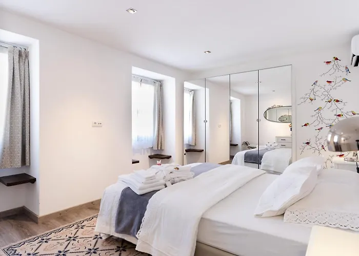 Feel Discovery Douro Janja Armamar