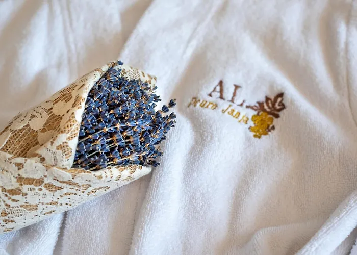 Feel Discovery Douro Janja