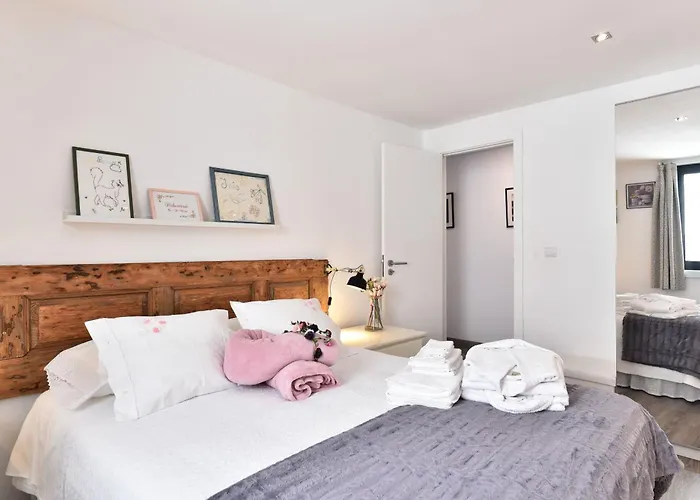 Feel Discovery Douro Janja Villa