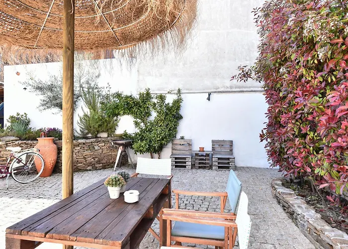 Feel Discovery Douro Janja Armamar