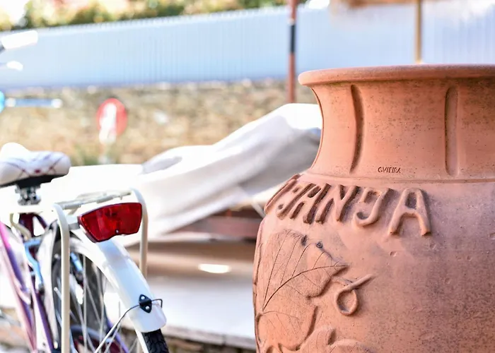 Feel Discovery Douro Janja Villa *